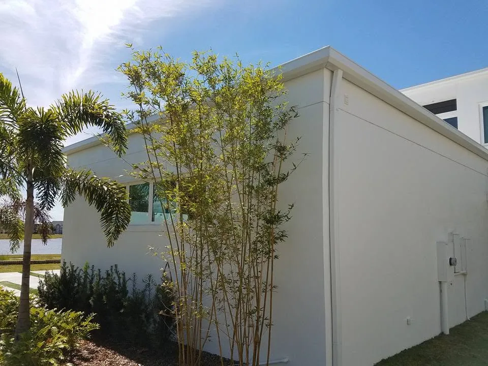 White stucco flat roof garage corner downspout palm bamboo, Sanford